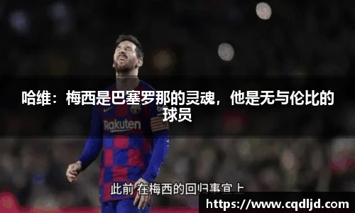 mk体育官网登录平台